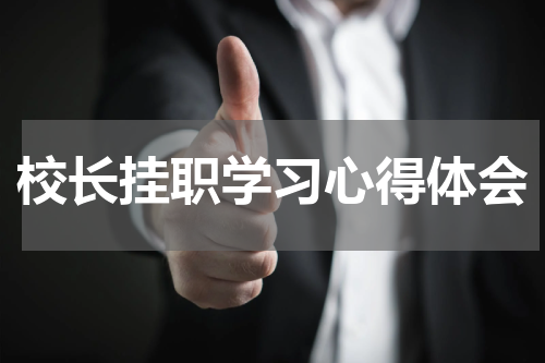 校长挂职学习心得体会