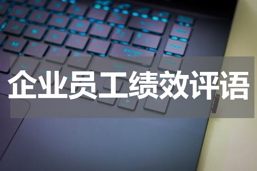 企业员工绩效评语