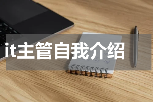 it主管自我介绍