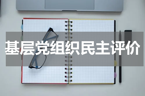 基层党组织民主评价