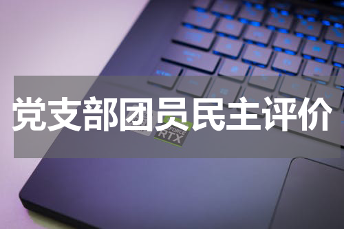 党支部团员民主评价