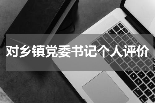 对乡镇党委书记个人评价