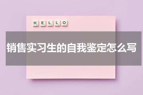 销售实习生的自我鉴定怎么写