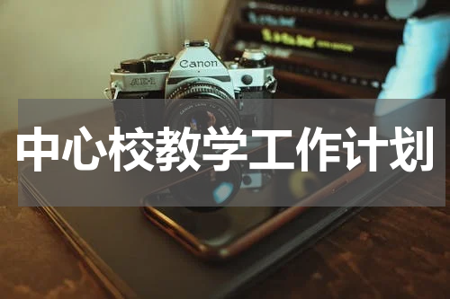 中心校教学工作计划