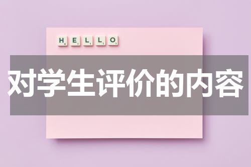 对学生评价的内容