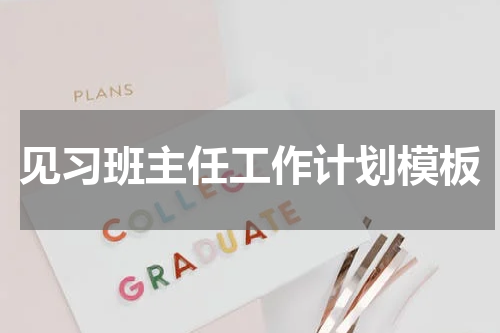 见习班主任工作计划模板