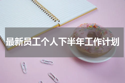 最新员工个人下半年工作计划
