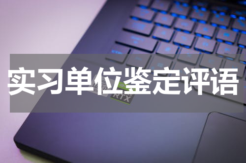 实习单位鉴定评语