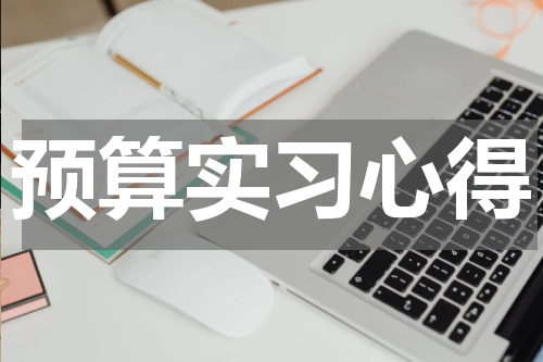 预算实习心得