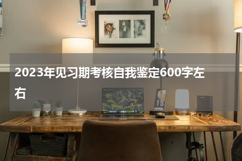 2023年见习期考核自我鉴定600字左右