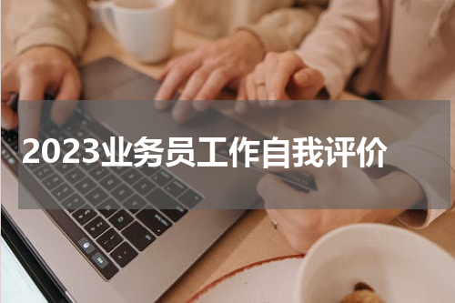 2023业务员工作自我评价