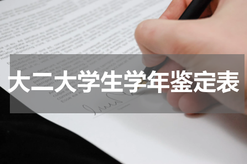 大二大学生学年鉴定表