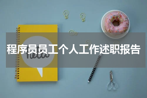 程序员员工个人工作述职报告