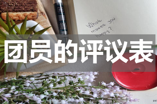 团员的评议表