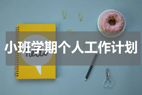小班学期个人工作计划