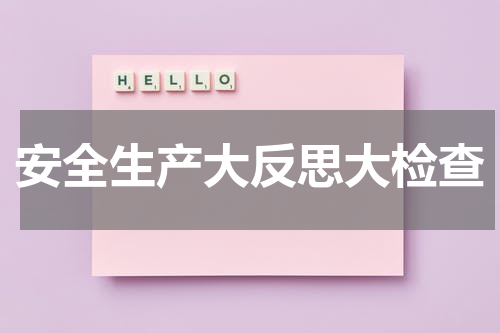 安全生产大反思大检查