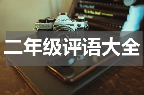 二年级评语大全