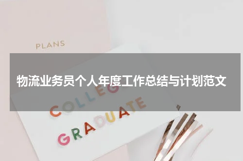 物流业务员个人年度工作总结与计划范文