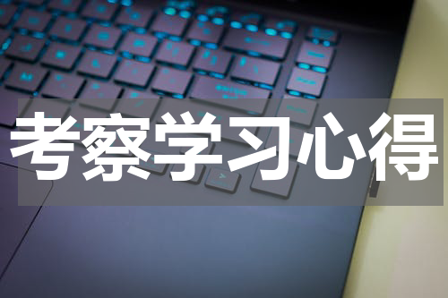 考察学习心得