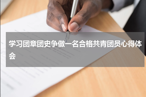 学习团章团史争做一名合格共青团员心得体会