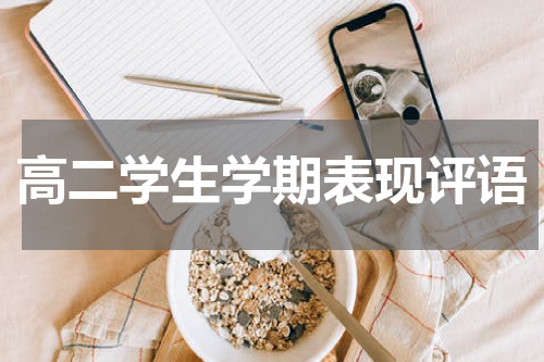 高二学生学期表现评语
