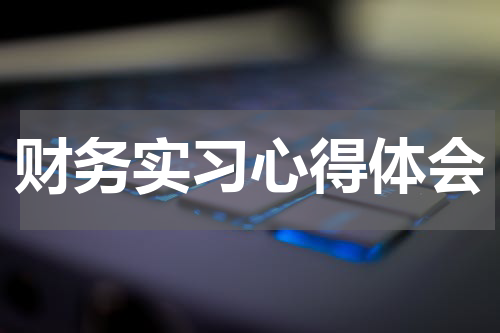 财务实习心得体会