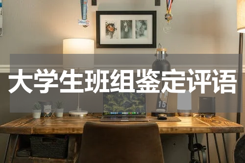 大学生班组鉴定评语