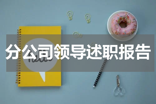 分公司领导述职报告