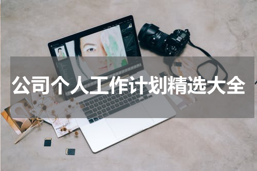 公司个人工作计划精选大全