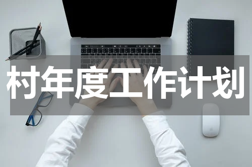 村年度工作计划