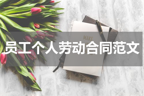 员工个人劳动合同范文