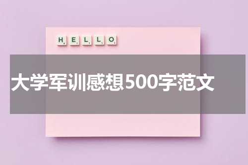 大学军训感想500字范文