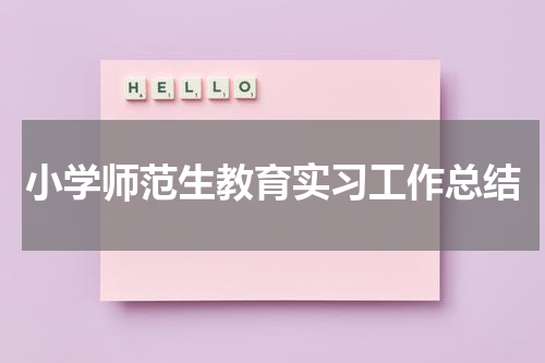小学师范生教育实习工作总结
