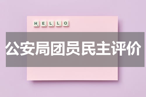 公安局团员民主评价