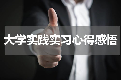 大学实践实习心得感悟