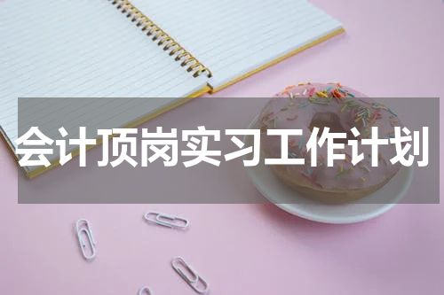 会计顶岗实习工作计划