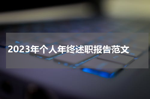 2023年个人年终述职报告范文