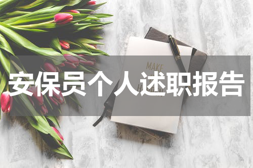 安保员个人述职报告