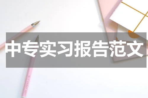 中专实习报告范文