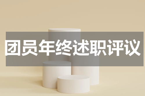 团员年终述职评议