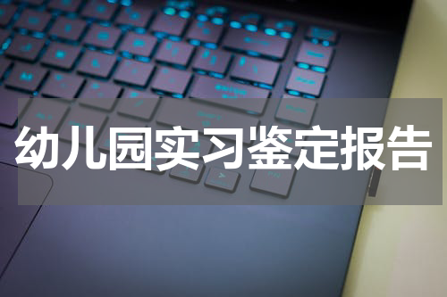 幼儿园实习鉴定报告