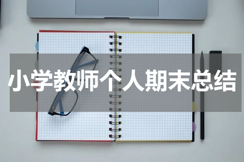 小学教师个人期末总结