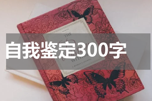 自我鉴定300字