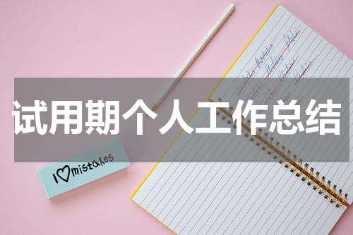 试用期个人工作总结