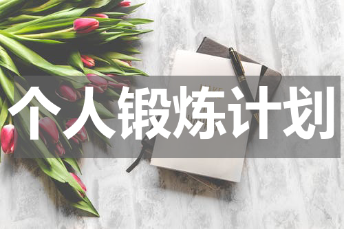 个人锻炼计划