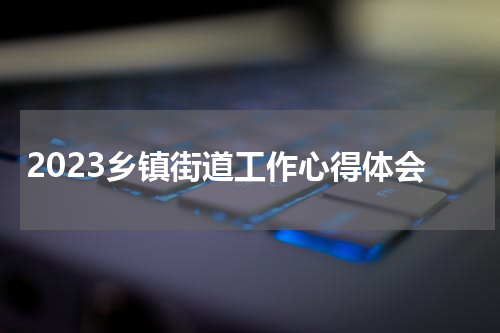 2023乡镇街道工作心得体会