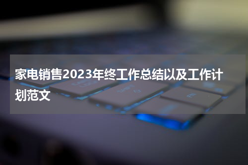 家电销售2023年终工作总结以及工作计划范文