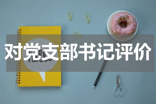 对党支部书记评价