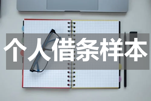 个人借条样本