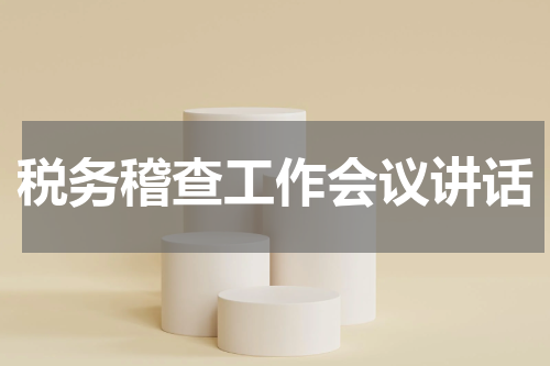 税务稽查工作会议讲话